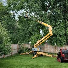 How Our Tree Care Process Works  in Pretty Bayou, FL